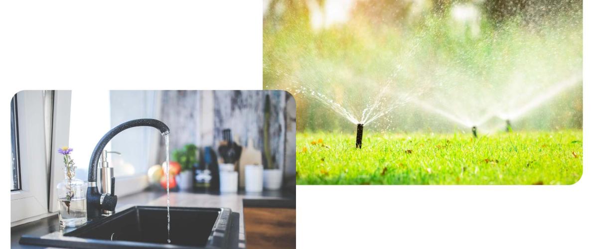 sink and sprinklers